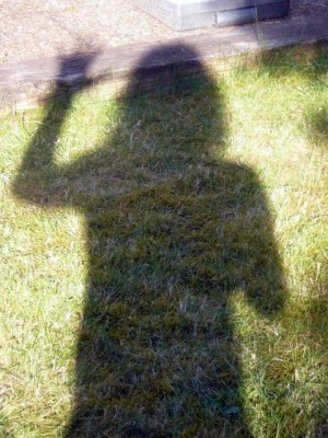 shadow dancing in the garden - June 1, 2009
