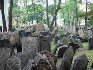 355 Oude Joodse Begraafplaats