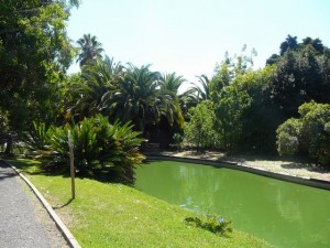 460 Jardim Agricola Tropical
