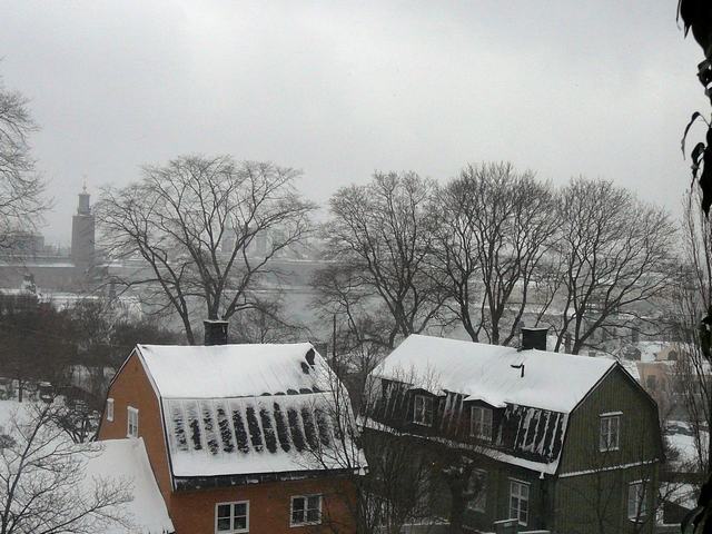 254 101128 Sunday - view from au3s appartment - more snow