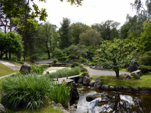 618 Bergianska Trädgarden - Japanse tuin