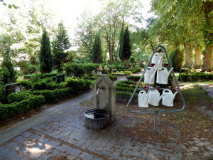 844 Bad Doberan Friedhof