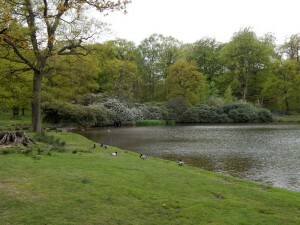 1350 Lyme Park