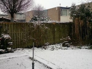 160214 223 sneeuw in de tuin