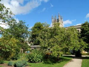 748 University of Oxford Botanic Gardens