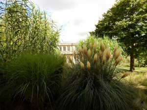 757 University of Oxford Botanic Gardens