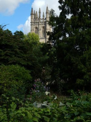 776 University of Oxford Botanic Gardens