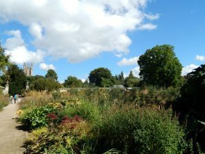 788 University of Oxford Botanic Gardens